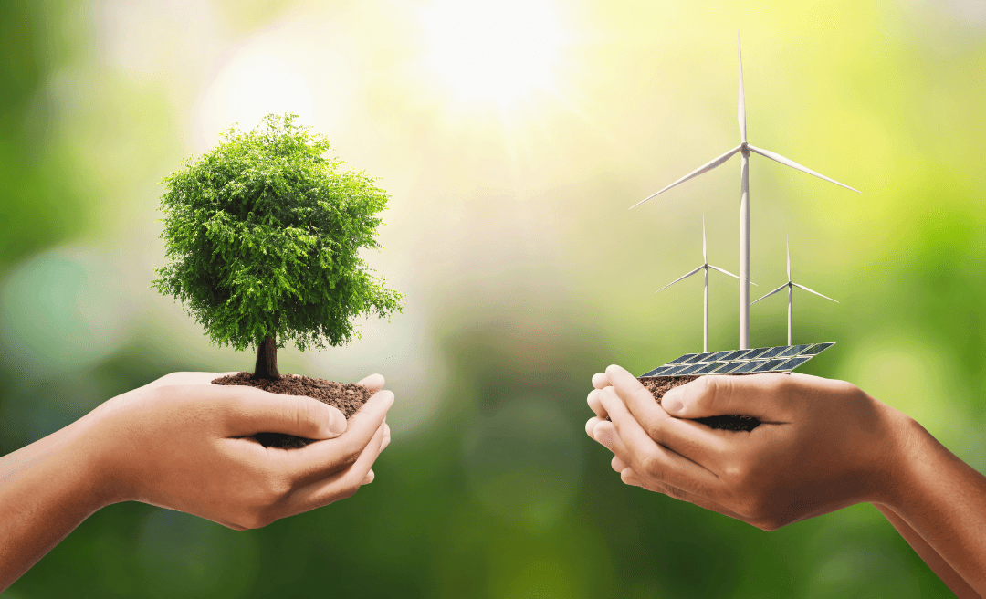 Environmental Image